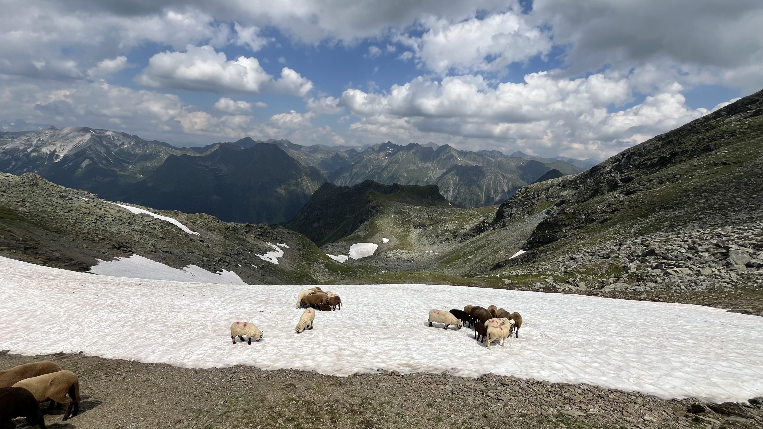 Abkühlung direkt nach Gr. Gurpitscheck