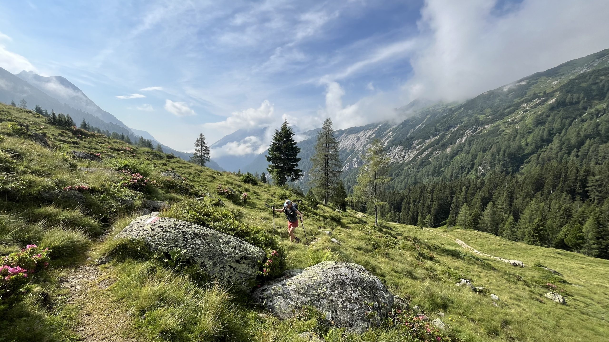 Über Almwiesen geht es zum Oberhüttensee